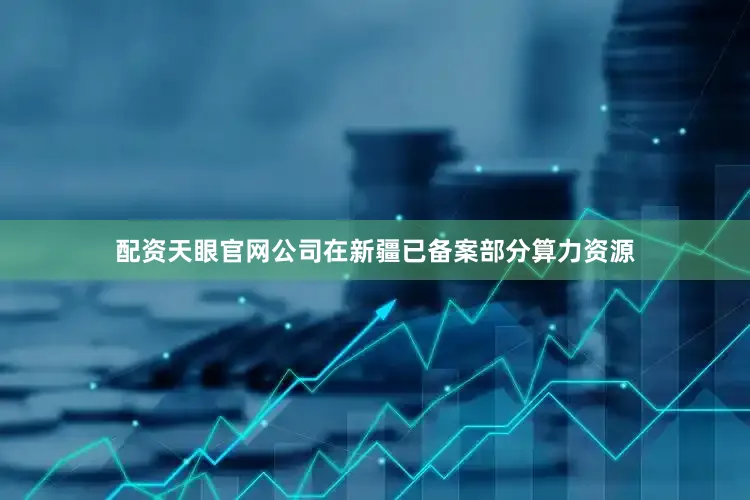 配资天眼官网公司在新疆已备案部分算力资源